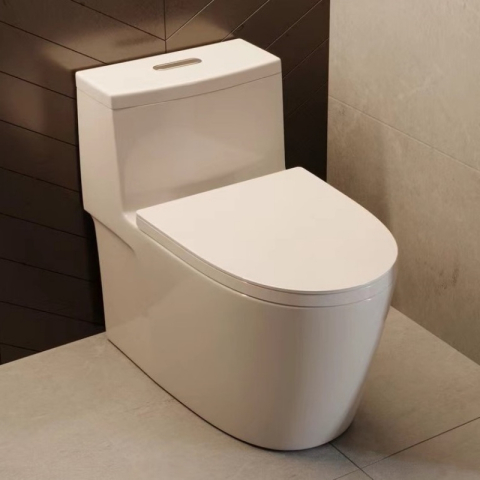 Bệt vệ sinh liền khối W001